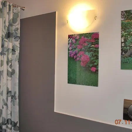 Castagnola Apartamento